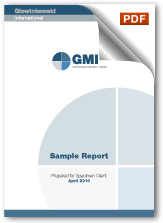 GMI Sample Report